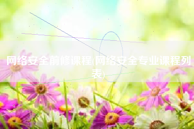 网络安全前修课程(网络安全专业课程列表)