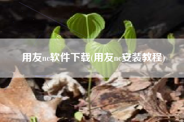 用友nc软件下载(用友nc安装教程)