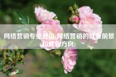 网络营销专业述语(网络营销的就业前景和就业方向)