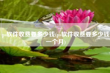 ps软件收费要多少钱(ps软件收费要多少钱一个月)