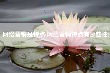 网络营销是特点(网络营销特点有哪些性)