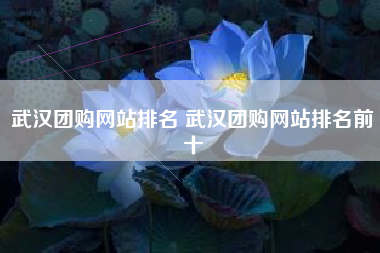 武汉团购网站排名 武汉团购网站排名前十