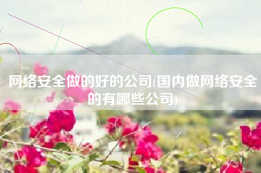 网络安全做的好的公司(国内做网络安全的有哪些公司)
