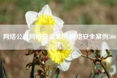 网络公司网络安全案例(网络安全案例500字)