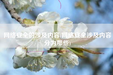 网络安全的涉及内容(网络安全涉及内容分为那些)