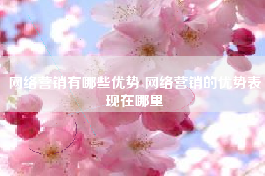 网络营销有哪些优势 网络营销的优势表现在哪里