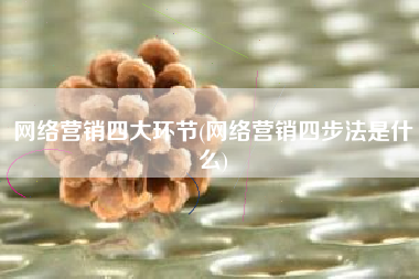 网络营销四大环节(网络营销四步法是什么)