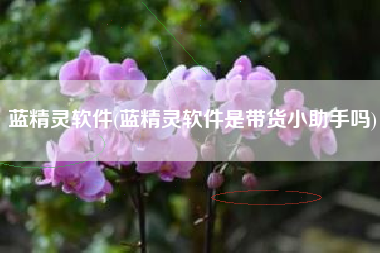 蓝精灵软件(蓝精灵软件是带货小助手吗)