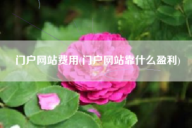 门户网站费用(门户网站靠什么盈利)