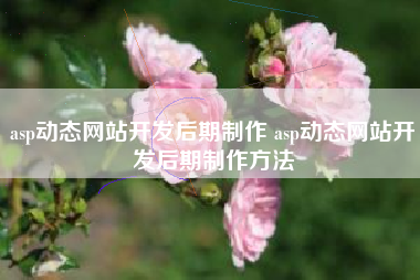 asp动态网站开发后期制作 asp动态网站开发后期制作方法