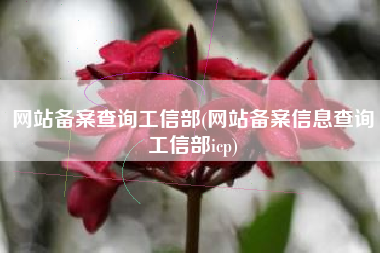 网站备案查询工信部(网站备案信息查询工信部icp)