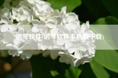 钢琴软件(钢琴软件手机版下载)