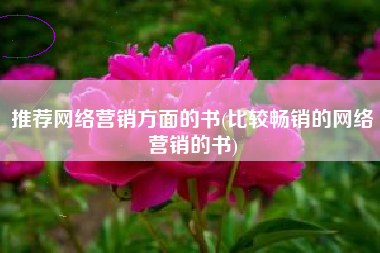 推荐网络营销方面的书(比较畅销的网络营销的书)