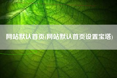 网站默认首页(网站默认首页设置宝塔)