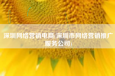 深圳网络营销电商(深圳市网络营销推广服务公司)
