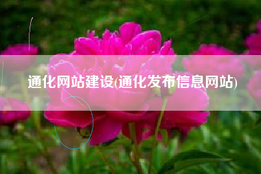 通化网站建设(通化发布信息网站)
