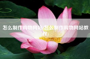 怎么制作购物网站(怎么制作购物网站教程)