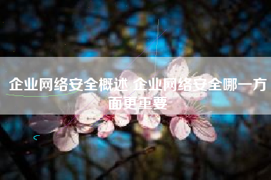 企业网络安全概述 企业网络安全哪一方面更重要