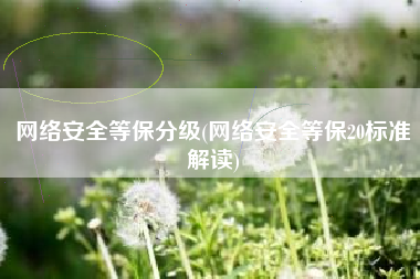 网络安全等保分级(网络安全等保20标准解读)