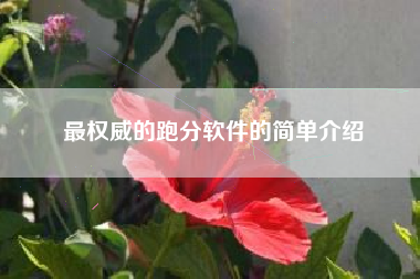 最权威的跑分软件的简单介绍