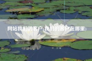 网站我们的客户(我们的客户在哪里)