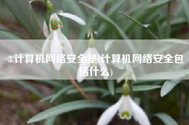 3.计算机网络安全是(计算机网络安全包括什么)