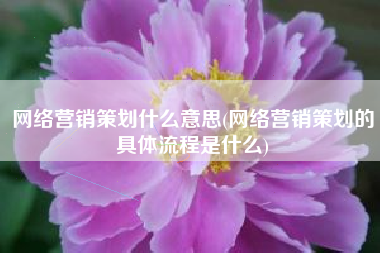 网络营销策划什么意思(网络营销策划的具体流程是什么)