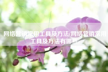 网络营销常用工具及方法(网络营销常用工具及方法有哪些)