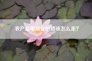 农产品电商化的路该怎么走？