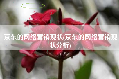 京东的网络营销现状(京东的网络营销现状分析)