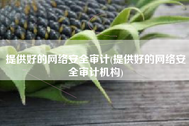 提供好的网络安全审计(提供好的网络安全审计机构)