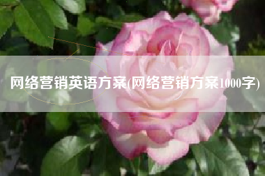 网络营销英语方案(网络营销方案1000字)