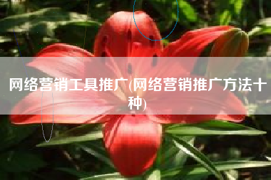 网络营销工具推广(网络营销推广方法十种)