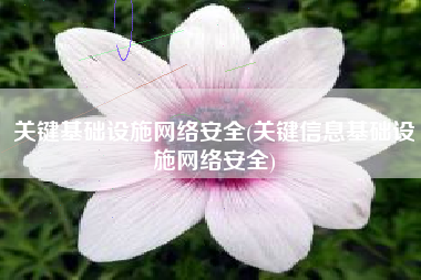 关键基础设施网络安全(关键信息基础设施网络安全)