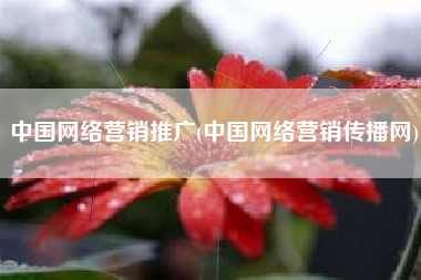中国网络营销推广(中国网络营销传播网)