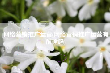 网络营销推广运营(网络营销推广运营有前途吗)