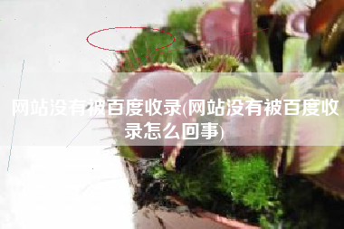 网站没有被百度收录(网站没有被百度收录怎么回事)