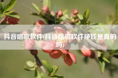 抖音唱歌软件(抖音唱歌软件挣钱是真的吗)