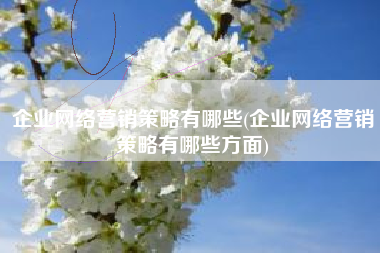 企业网络营销策略有哪些(企业网络营销策略有哪些方面)