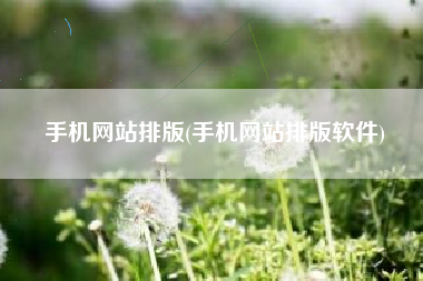 手机网站排版(手机网站排版软件)