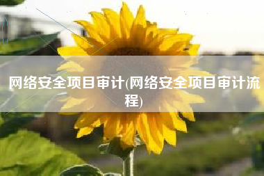 网络安全项目审计(网络安全项目审计流程)