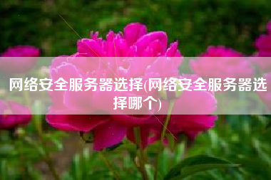 网络安全服务器选择(网络安全服务器选择哪个)