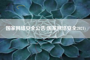 国家网络安全公告(国家网络安全2021)