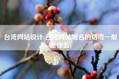 台湾网站设计(台湾网站域名的后缀一般是什么)