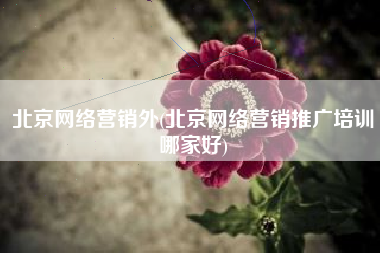 北京网络营销外(北京网络营销推广培训哪家好)