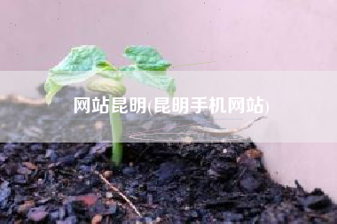 网站昆明(昆明手机网站)