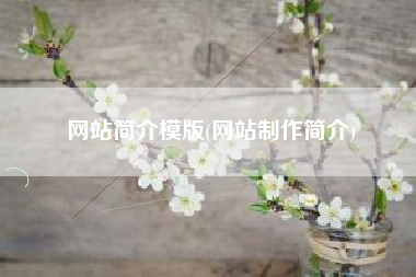 网站简介模版(网站制作简介)