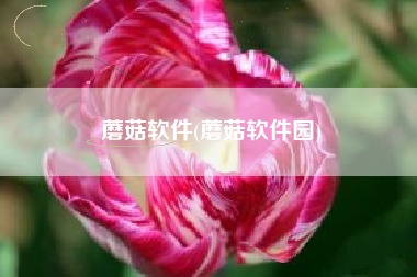 蘑菇软件(蘑菇软件园)