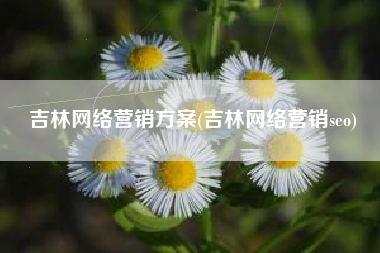 吉林网络营销方案(吉林网络营销seo)