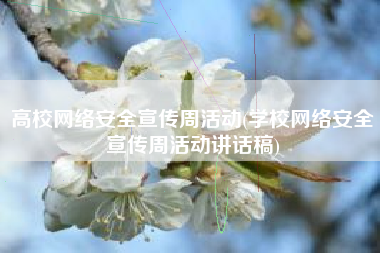 高校网络安全宣传周活动(学校网络安全宣传周活动讲话稿)